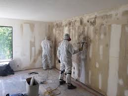 Best Asbestos and Lead Testing During Mold Inspection  in Green River, WY